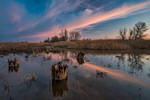 Pink Reflection by MarshallLipp