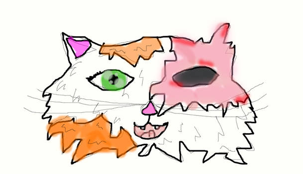 Brightheart's Face