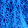 Paper Autofluorescence -Single
