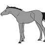 Free to Use| Foal Lines and Base