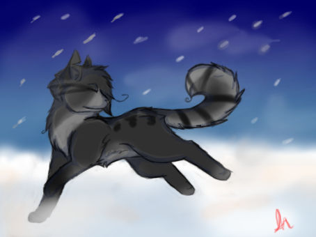 Frost in the snow by FrostCat77 on DeviantArt