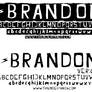 typeface : Brandon ver:02