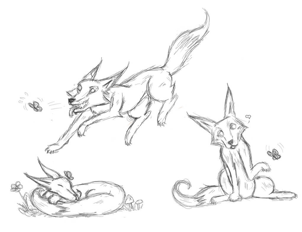 Fox doodles by Rileygabby on DeviantArt
