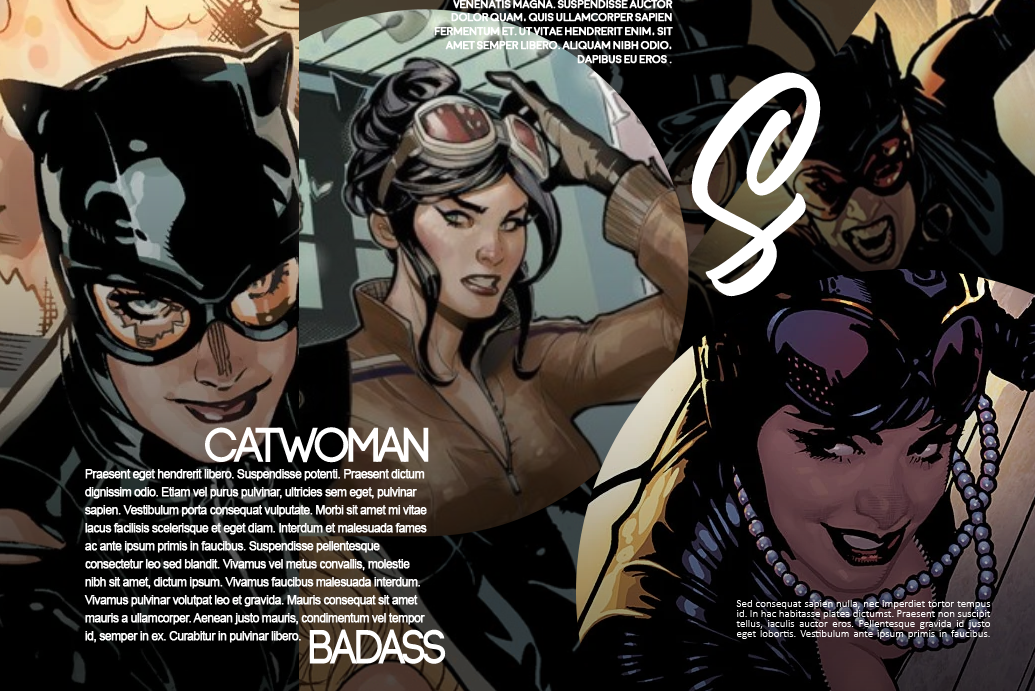 Template Catwoman by teufelshorner on DeviantArt