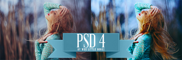 PSD 4 by weelittlebones on DeviantArt