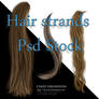 Hair Strands Stock