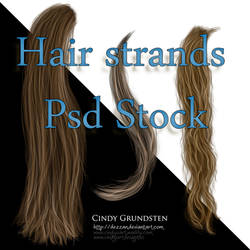 Hair Strands Stock by CindysArt