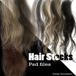 Hair Stocks