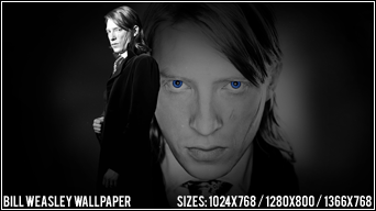 Bill Weasley