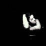 Sarah McLachlan Alanis Morissette Uninvited