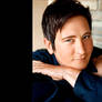 AI Cov. KD Lang Lucinda Williams Passionate Kisses
