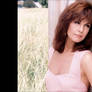 AI Cover Patty Loveless Dolly Parton Eagle Flies
