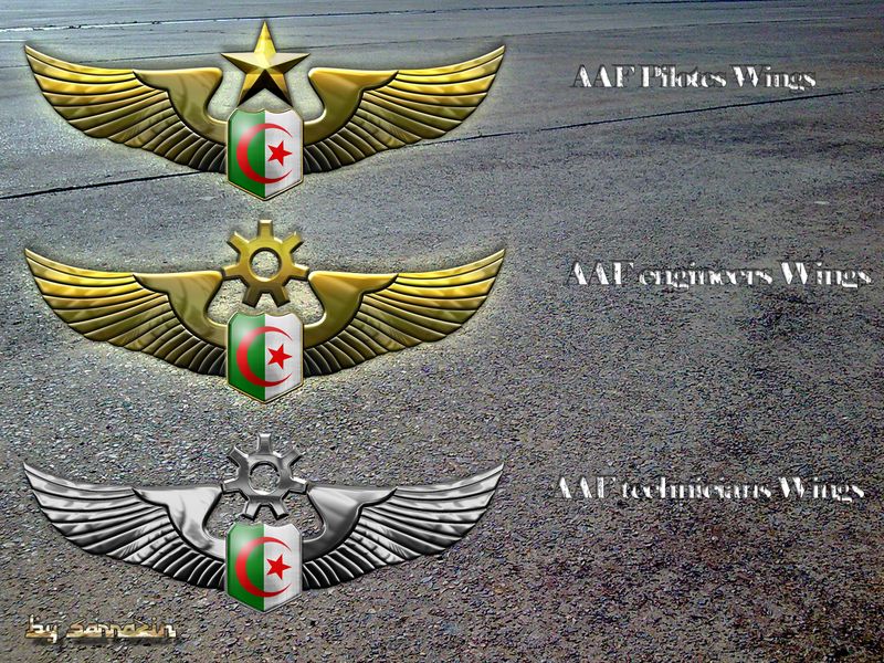 Algerian Air Force Wings