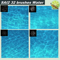 Water brushes SAI2