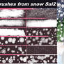 Sai2 snow brushes