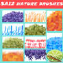 Nature Brushes SAI2