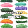 SAI2 leaf brushes