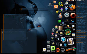 Ubuntu GUI 2011