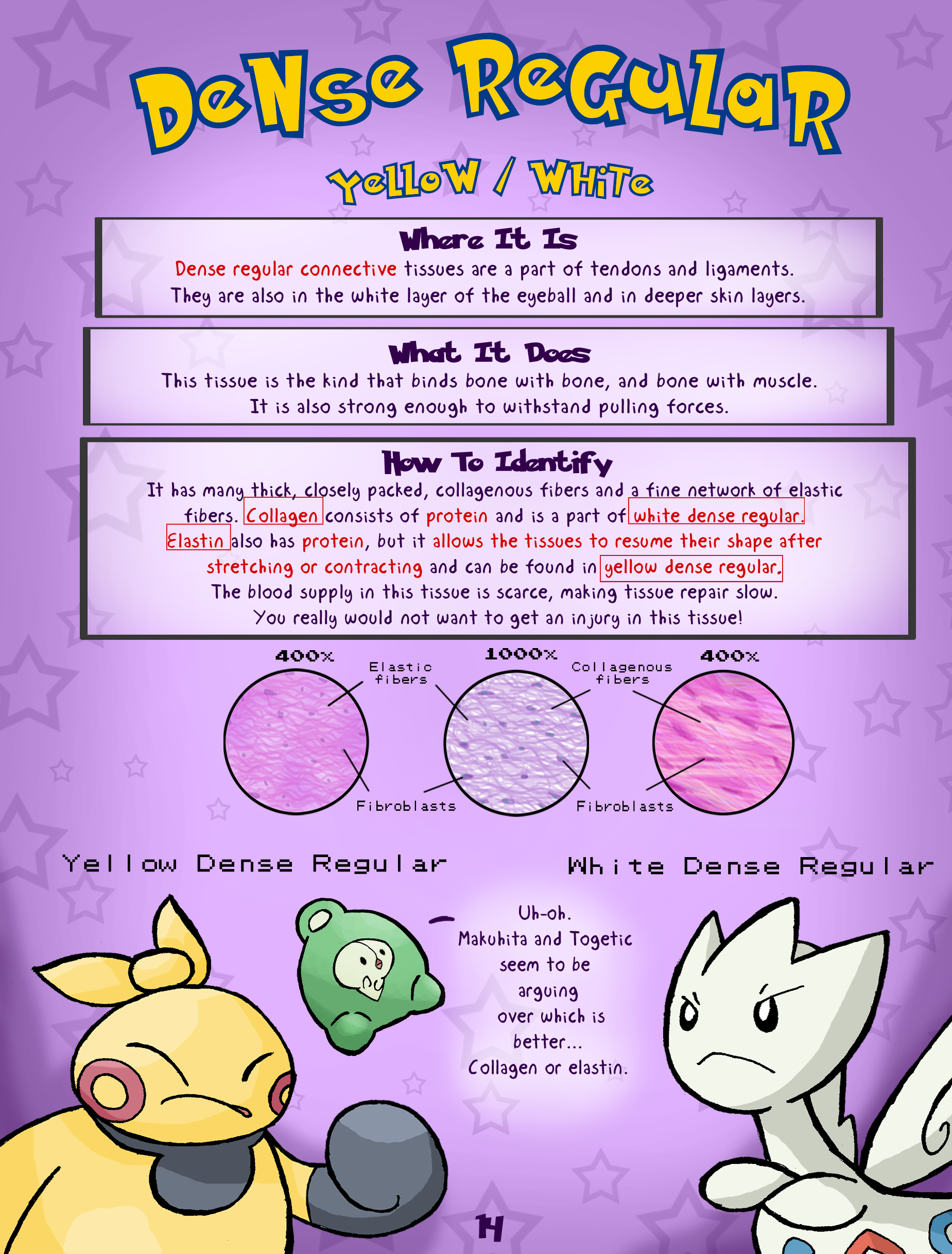 Learning Histology with Pokemon - Page 14