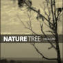 Nature Tree Wallpaper