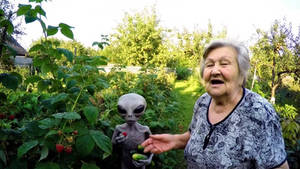  Problems at the dacha