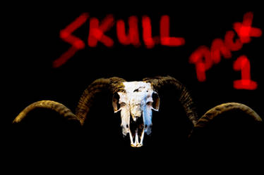 Ram Skull Pack