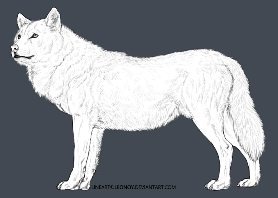 FREE Wolf Lineart- NEW by LeoNoy
