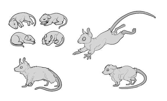 Misc Rats - F2U Base by ZoeOstei on DeviantArt