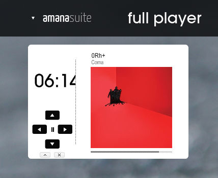 full player for amana suite