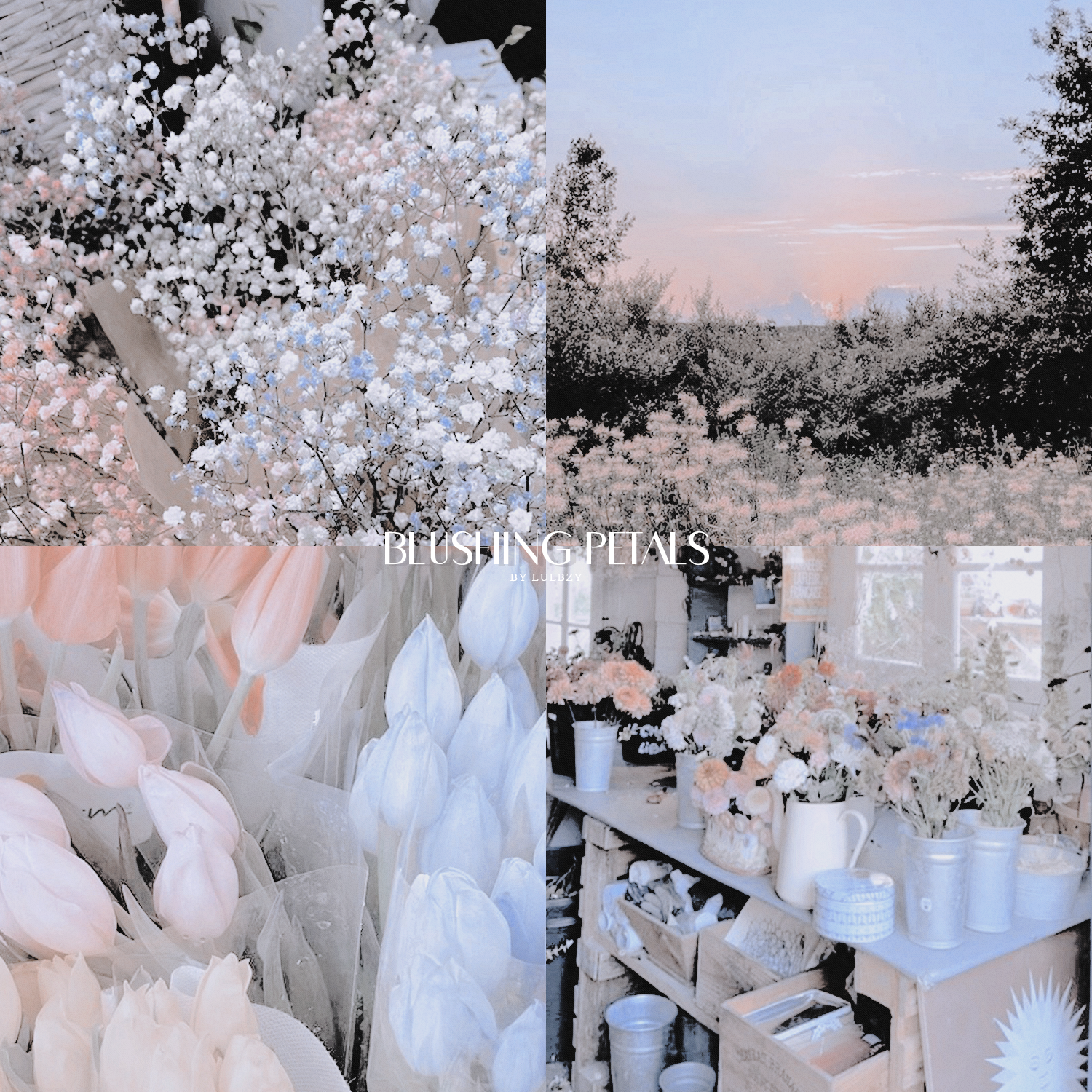blushing petals psd ( by @lulbzy ) by lulbzygraphics on DeviantArt