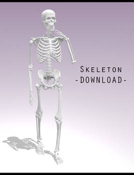Skeleton [ DOWNLOAD ]