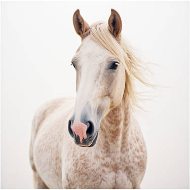 AI Tutorial: How to create Photorealistic HORSE ?