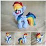 Rainbow Dash filly