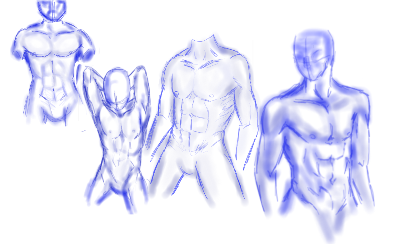 Male Torso Practice by learn-to-f1y on DeviantArt