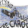 Flying Through The Chaos