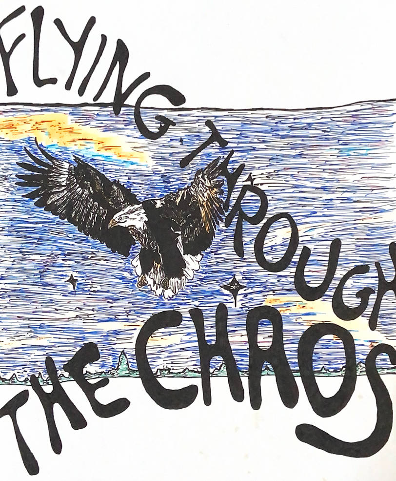 Flying Through The Chaos