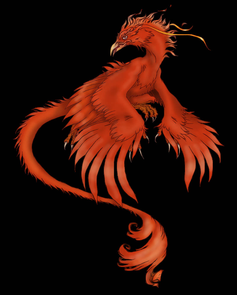 Phoenix - Sketch for my watchers - almost done