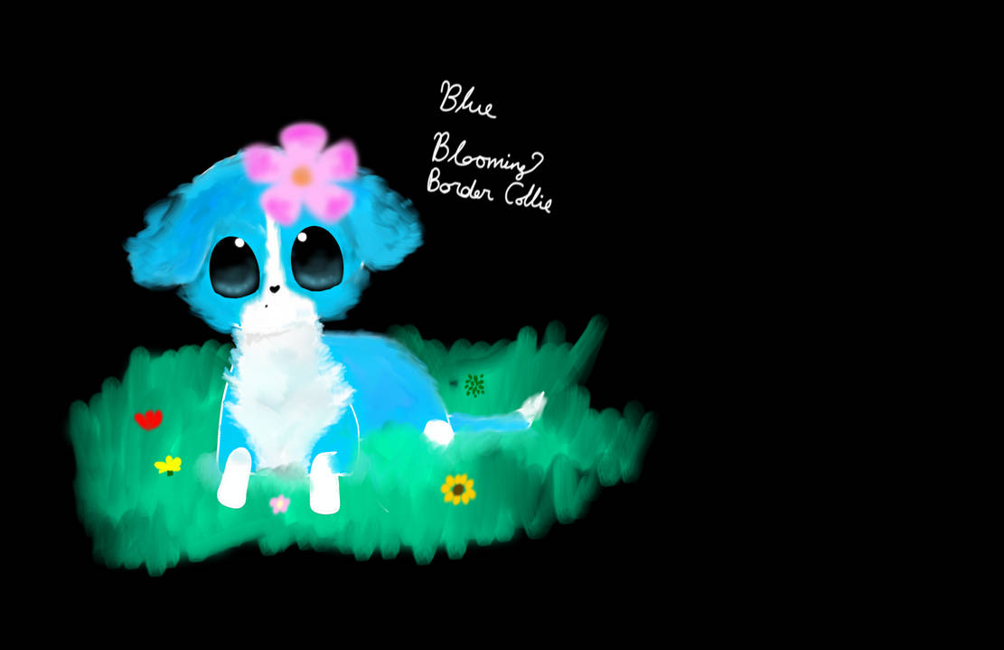 Blue Blooming Border Collie by Fatpiggypig on DeviantArt