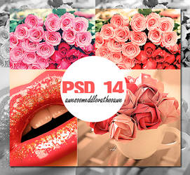 PSD 14