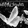 Buterfly brushes