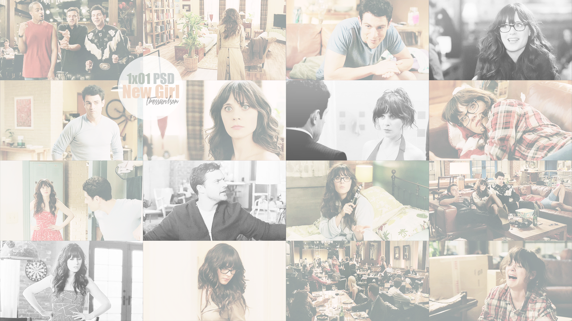 New Girl 1x01 PSD