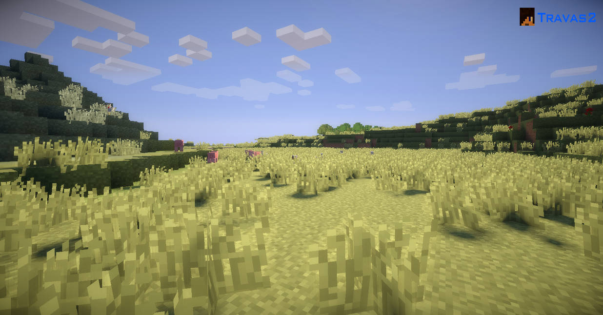 Minecraft Grassland by Travas2 on DeviantArt
