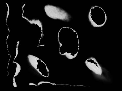 Burnt Paper Brushes