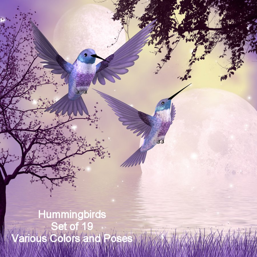 Hummingbirds by oldhippieart on DeviantArt