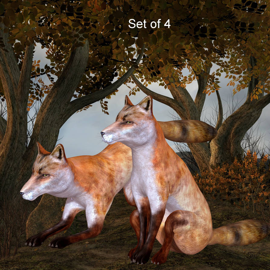 Fox by oldhippieart on DeviantArt