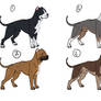 American Bully Adopts - OPEN