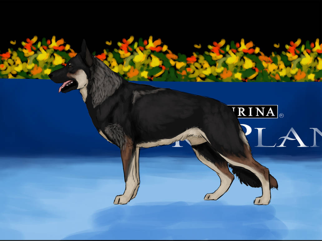 Purina Dog Show - Atticus by doggolard on DeviantArt