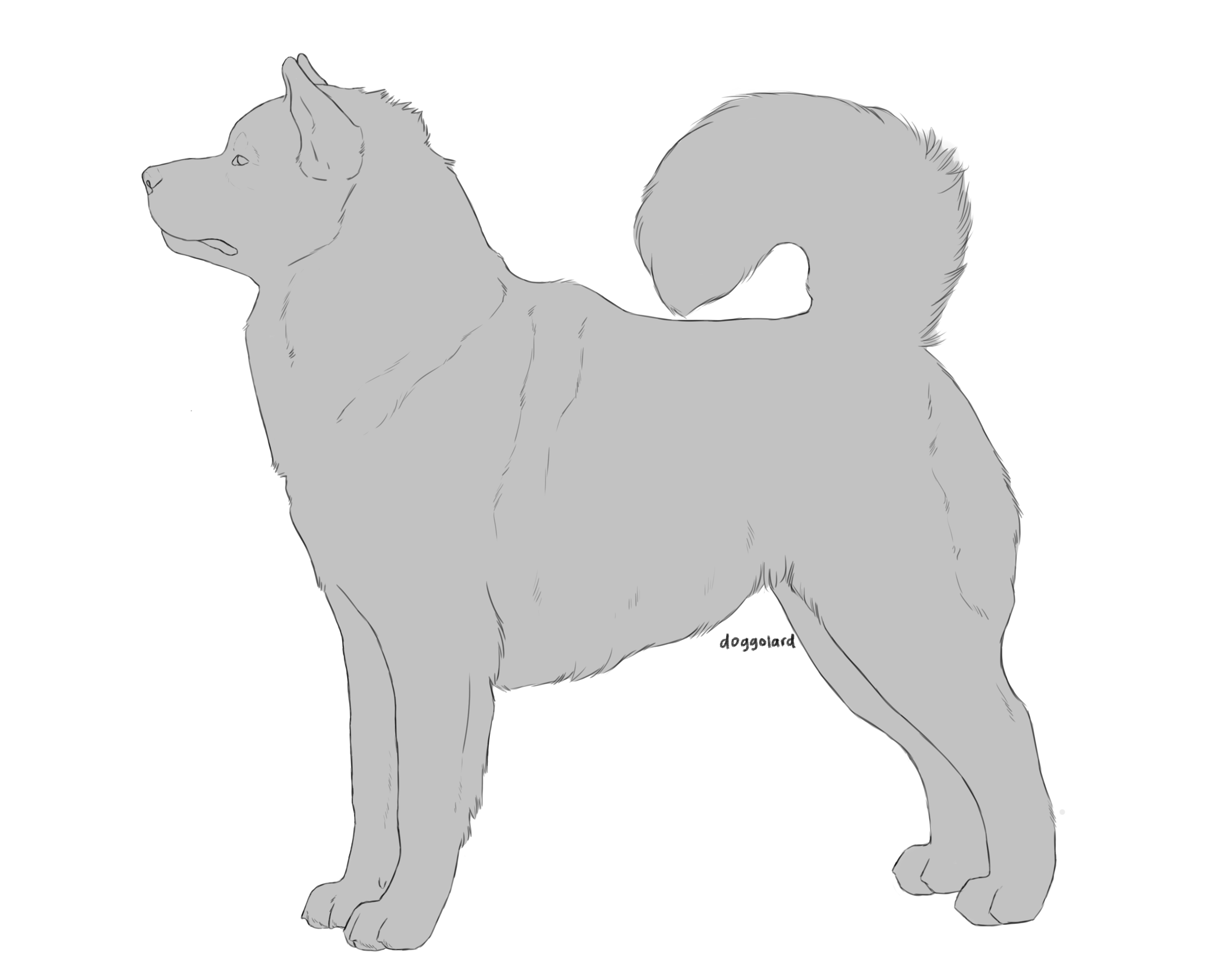 Malamute Lineart UPDATED | P2U by doggolard on DeviantArt