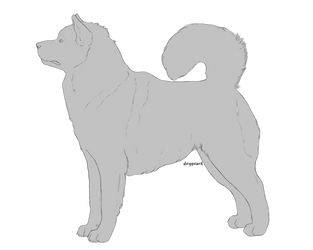 Malamute Lineart UPDATED | P2U