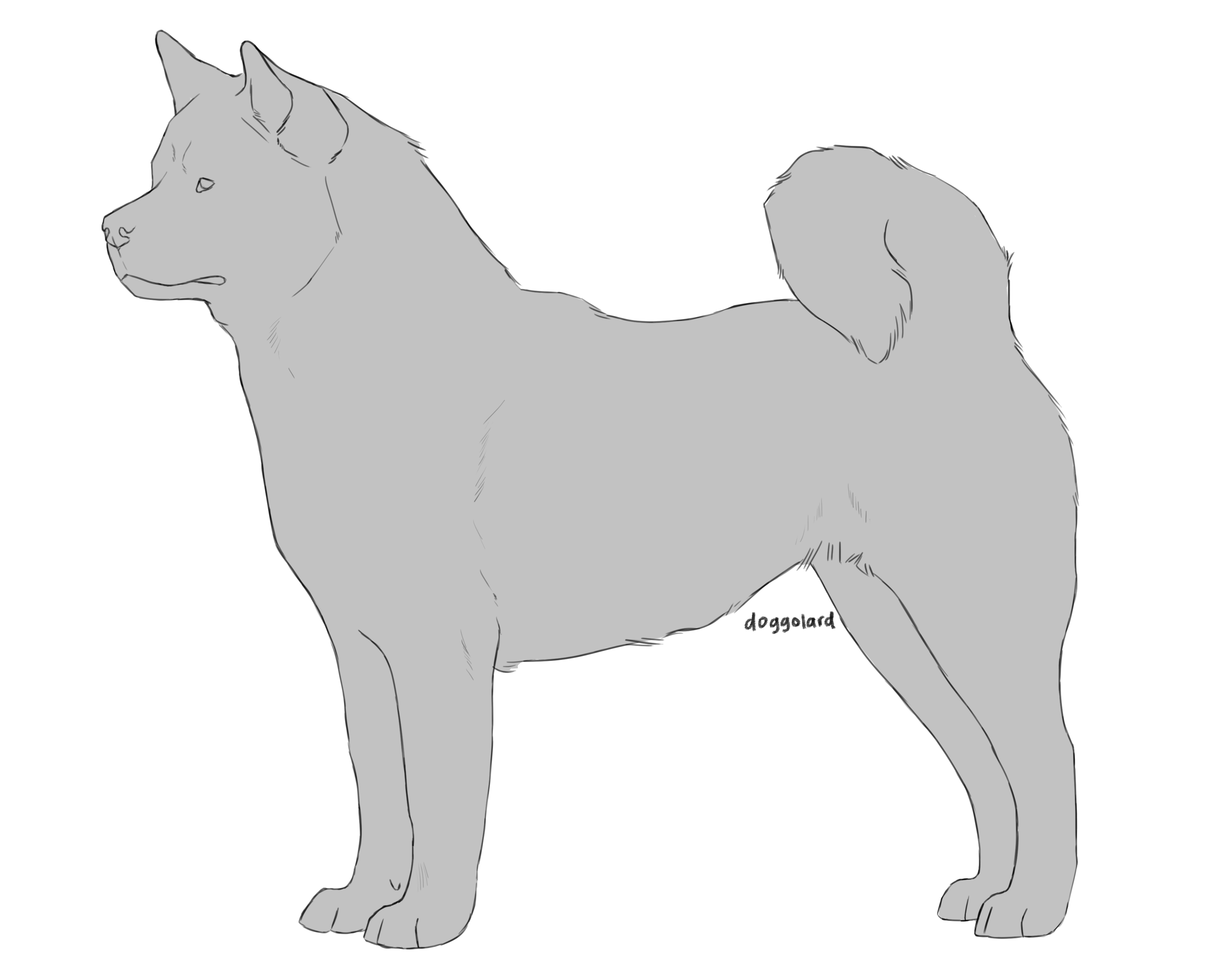 American Akita Lineart | P2U by doggolard on DeviantArt